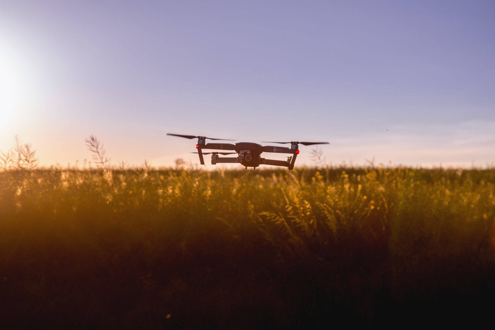 Drones within environmental research